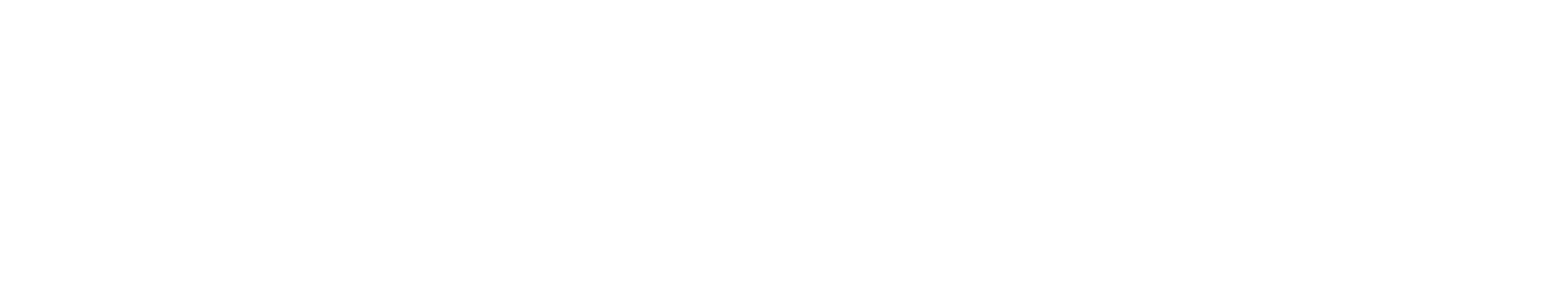 Novvo